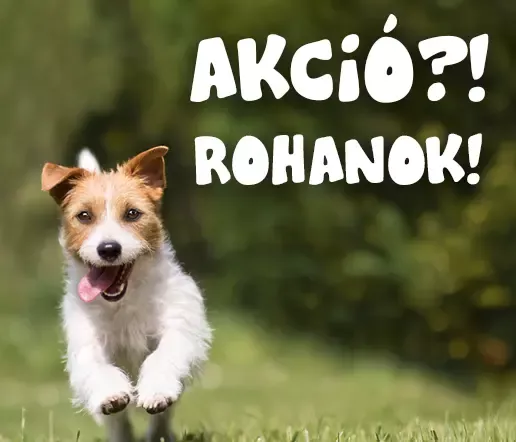 Akció?! Rohanok! - AC­TU­AL Ügy­vi­tel 35% ked­vez­ménnyel!